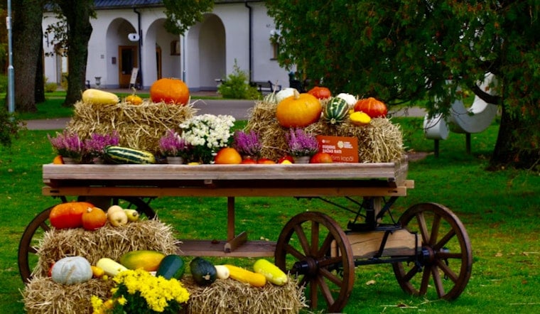Houston's Polish Harvest Festival Marks 20 Years With Dynamo Star, Free Admission