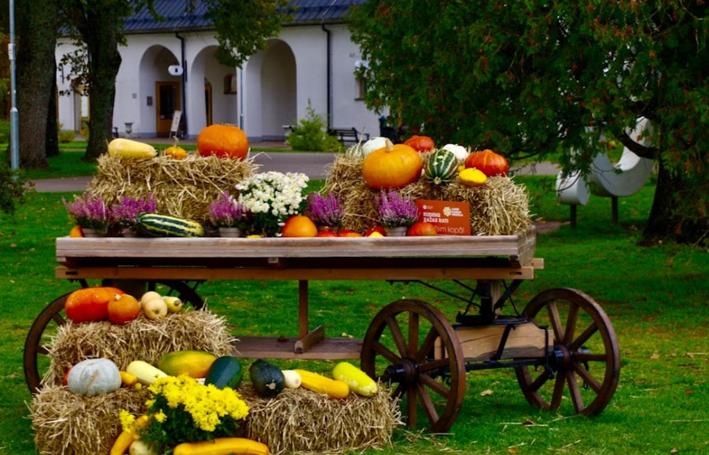 Houston's Polish Harvest Festival Marks 20 Years With Dynamo Star, Free Admission