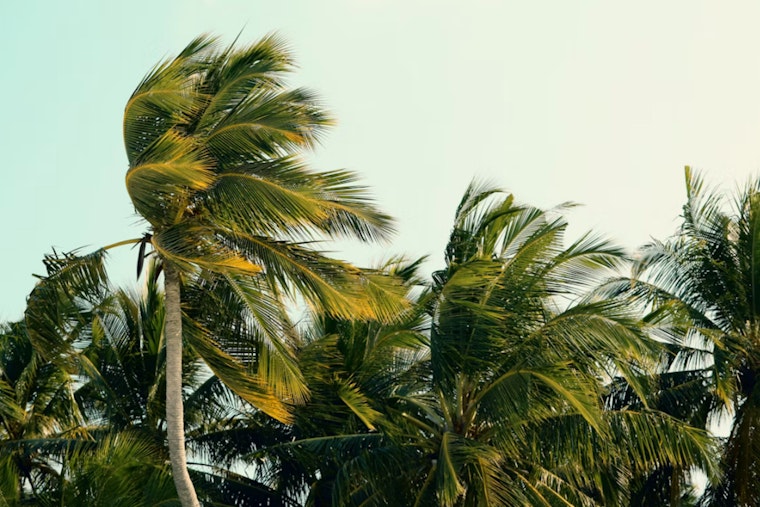 Howling Honolulu Winds, 10-Foot Surf as Hurricane Lowell Lurks Offshore