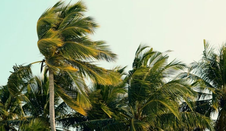 Howling Honolulu Winds, 10-Foot Surf as Hurricane Lowell Lurks Offshore