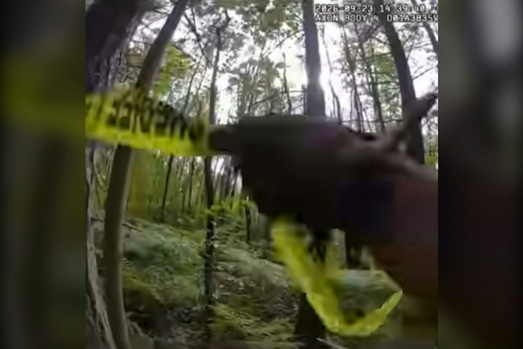 Human Remains Found in Frederickson Woods, Identity Still a Mystery