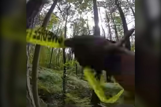 Human Remains Found in Frederickson Woods, Identity Still a Mystery