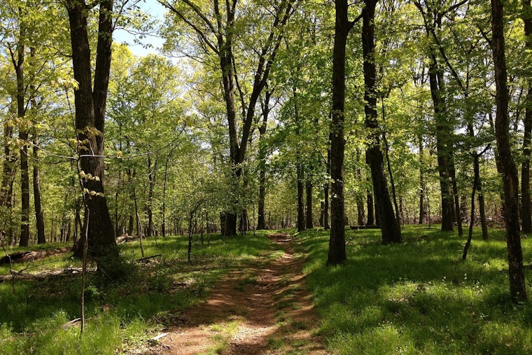 Huntersville Neighbors Fight 60-Space Greenway Lot Next to Their Backyards