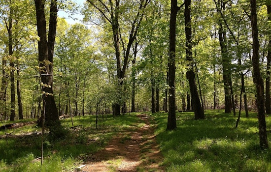 Huntersville Neighbors Fight 60-Space Greenway Lot Next to Their Backyards
