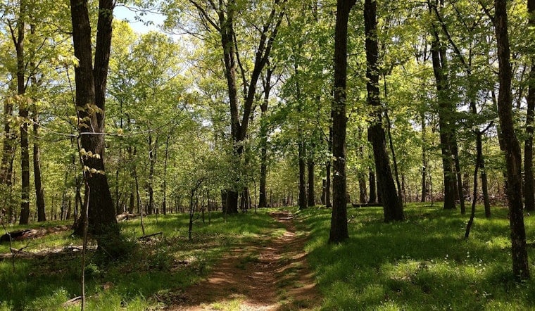 Huntersville Neighbors Fight 60-Space Greenway Lot Next to Their Backyards