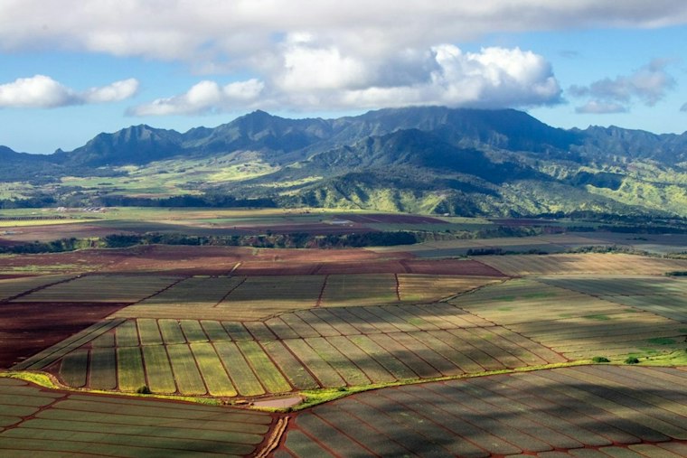 Hurricane Lowell Forces Kauai Shrimp to Wind Down Kekaha Farm