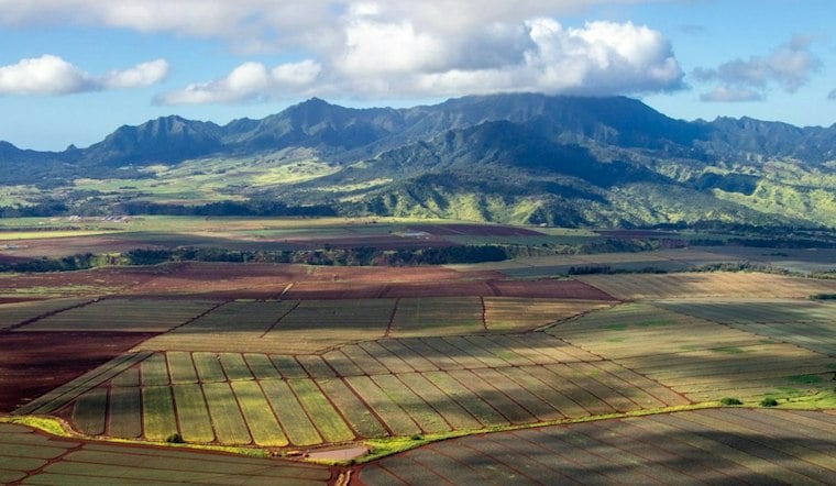 Hurricane Lowell Forces Kauai Shrimp to Wind Down Kekaha Farm