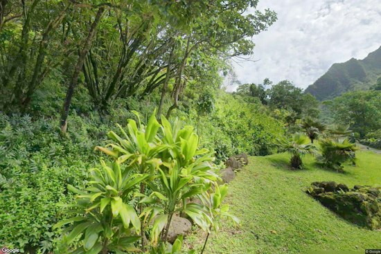 Hurricane Lowell Wrecks Kauaʻi's Rare Loulu Palms, Botanical Gardens Stay Shut