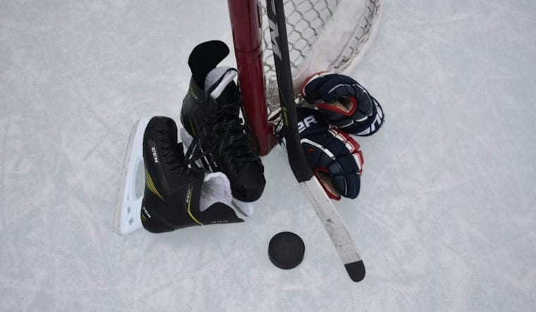 Icemen Unveil 10th Anniversary Promo Slate, From Lizard Kings to Teddy Bear Toss