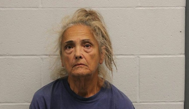 Illinois Woman Faces Charges in O’Fallon Dog Incident