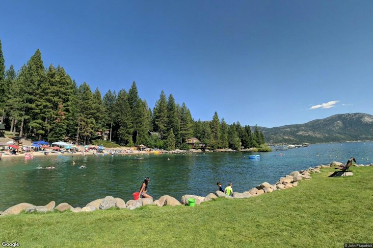 Incline Village Tree-Poisoning Case Has $147,000 Reward as Incident Counts Differ
