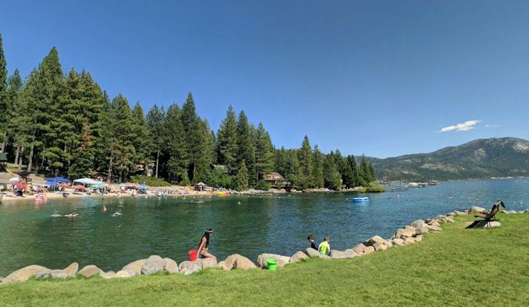 Incline Village Tree-Poisoning Case Has $147,000 Reward as Incident Counts Differ