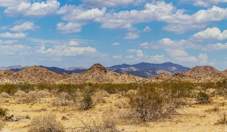 Interior Dept Blocks $25M for Parks, Joshua Tree Fire Prep Halted