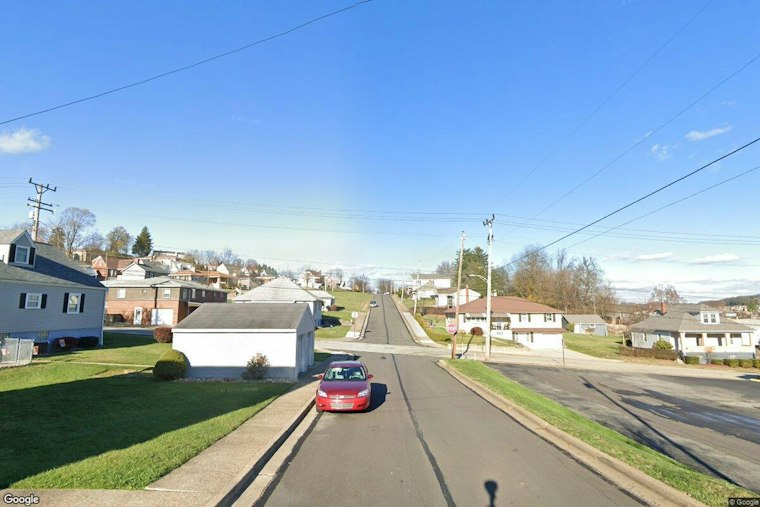 Jeannette Man's Pit Bull Mauls Police K-9 During FBI Raid, Faces Charges