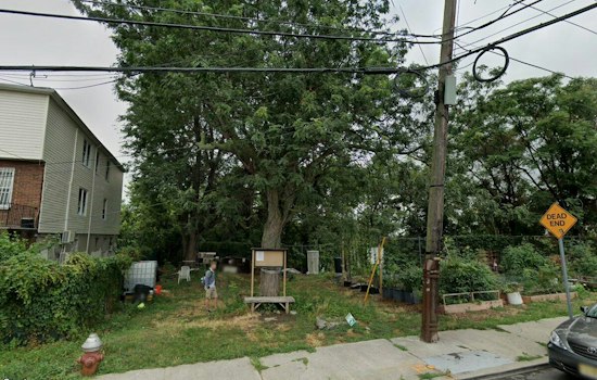 Jersey City Weighs Funding Options for Proposed Glenwood Avenue Garden