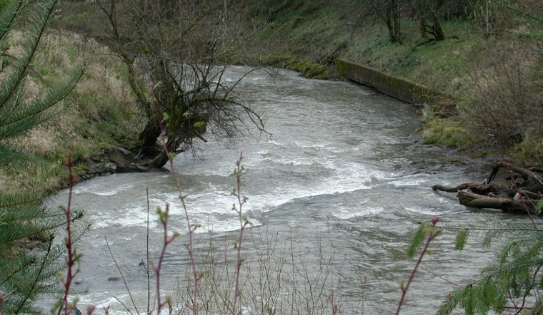 Johnson Creek Animal Die-Off Remains Unexplained as Officials Investigate