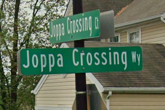 Joppa Woman Bitten Repeatedly by Loose Pit Bull, Violation Carries $30 Fine