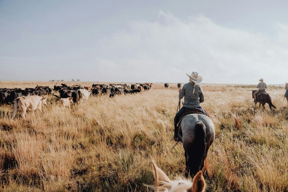 Jordan Shipley Says Ranch Machinery Fire Changed His Priorities After Burn Recovery