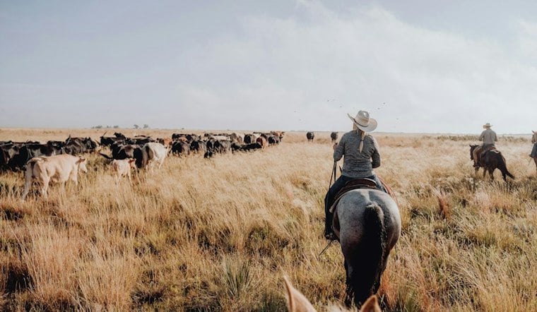 Jordan Shipley Says Ranch Machinery Fire Changed His Priorities After Burn Recovery
