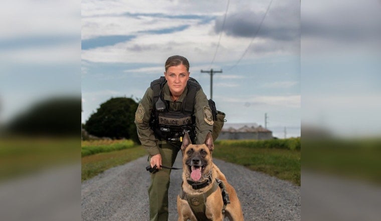 K9 FiasKo Finds Missing Nonverbal 6-Year-Old Near Brandywine Creek Pond