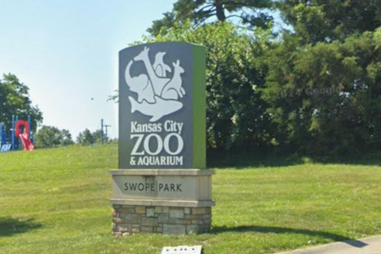 Kansas City Zoo Hunts for Architects on $12.5M North American Bear Exhibit