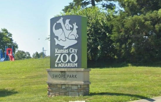 Kansas City Zoo Hunts for Architects on $12.5M North American Bear Exhibit