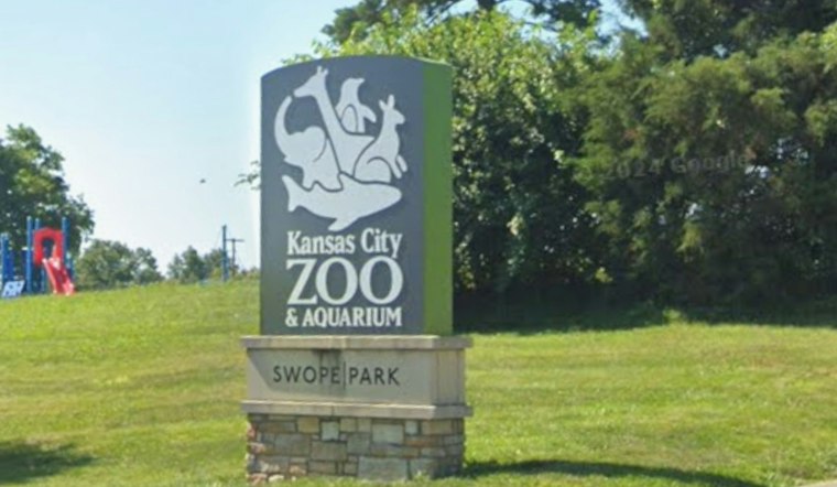 Kansas City Zoo Hunts for Architects on $12.5M North American Bear Exhibit