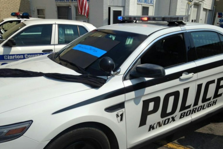 Knox Woman, 59, Charged After 19 Cats Left Without Food, Two Die