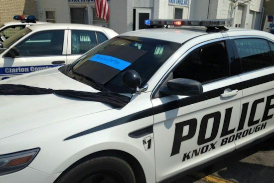 Knox Woman, 59, Charged After 19 Cats Left Without Food, Two Die