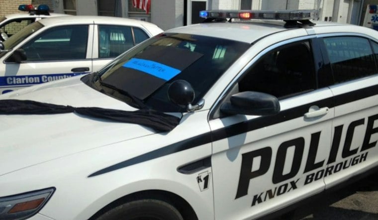 Knox Woman, 59, Charged After 19 Cats Left Without Food, Two Die