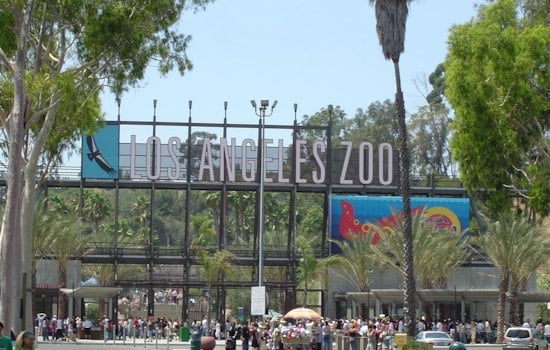 L.A. Zoo Debuts Zootoberfest, Trading Adults-Only Beer Fest For Family Pretzels