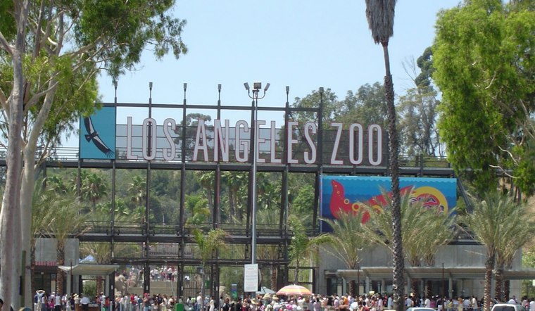 L.A. Zoo Debuts Zootoberfest, Trading Adults-Only Beer Fest For Family Pretzels