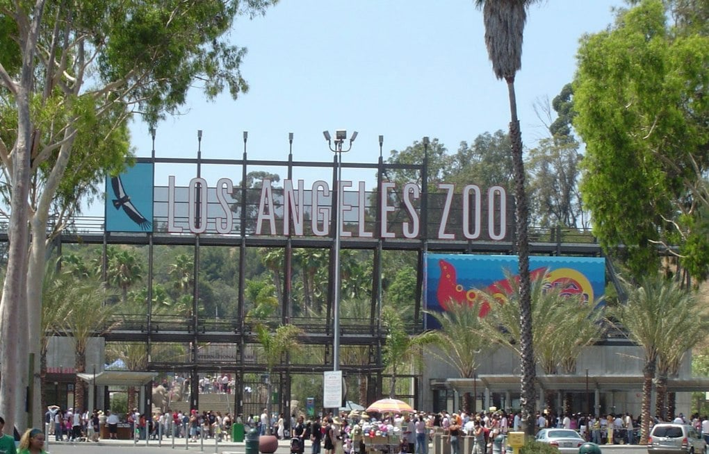 L.A. Zoo Debuts Zootoberfest, Trading Adults-Only Beer Fest For Family Pretzels