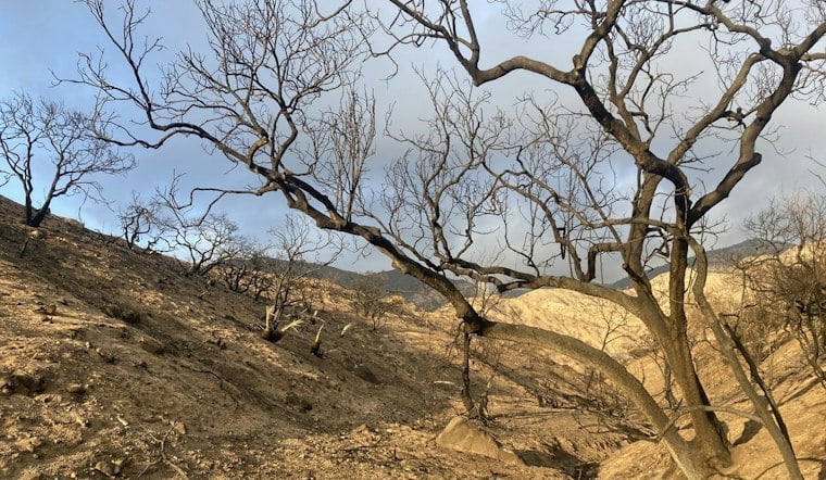 LA Fire Survivors Face Losing Caseworkers as FEMA Withholds $10 Million