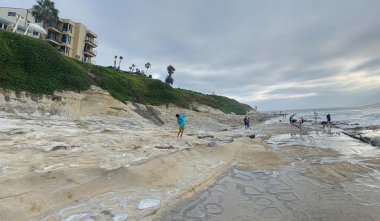 La Jolla Volunteers Raise $1.2 Million as City Considers Their Park Model