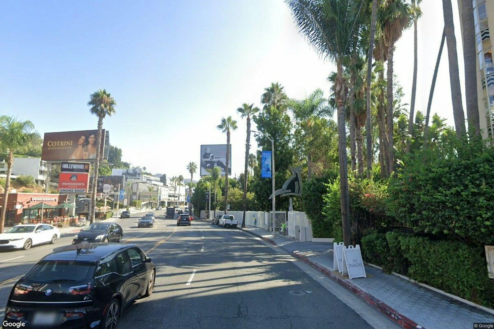 LA Nonprofit Calls Palm Trees a 'Scam,' Wants Them Replaced