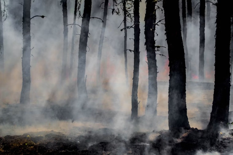 Labor Day Wildfire North of Lyons Sparks Evacuations Days After Moose Mountain Fire