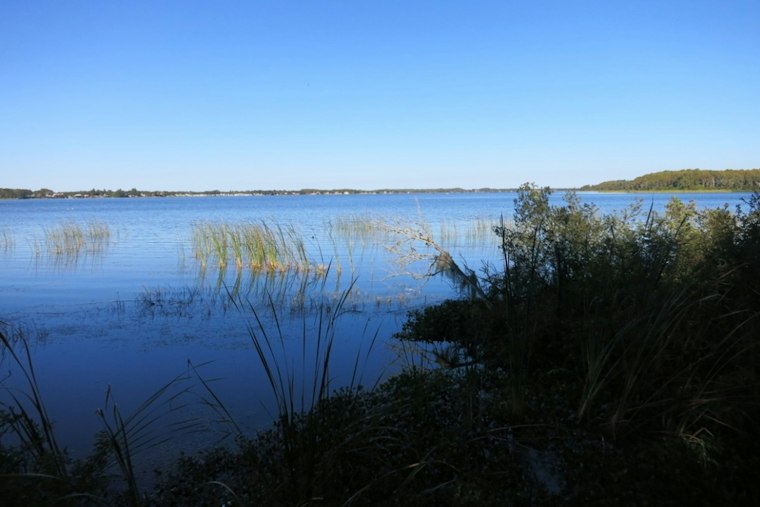 Lake Tarpon Boat Found Empty After Test Drive, Man Still Missing