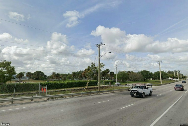 Lake Worth Woman Faces 11 Animal-Cruelty Counts; Dogs Surrendered to County