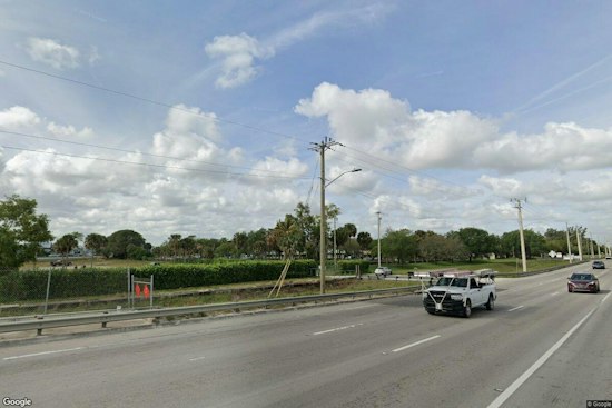 Lake Worth Woman Faces 11 Animal-Cruelty Counts; Dogs Surrendered to County