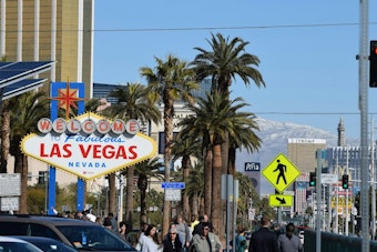 Las Vegas Cold Case: 37 Years After Tracy Jackson's Murder