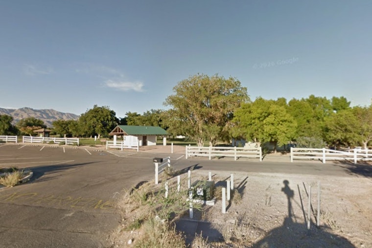 Las Vegas Turns Floyd Lamb Park Into A Pollinator Lab This Saturday