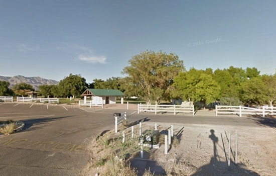 Las Vegas Turns Floyd Lamb Park Into A Pollinator Lab This Saturday