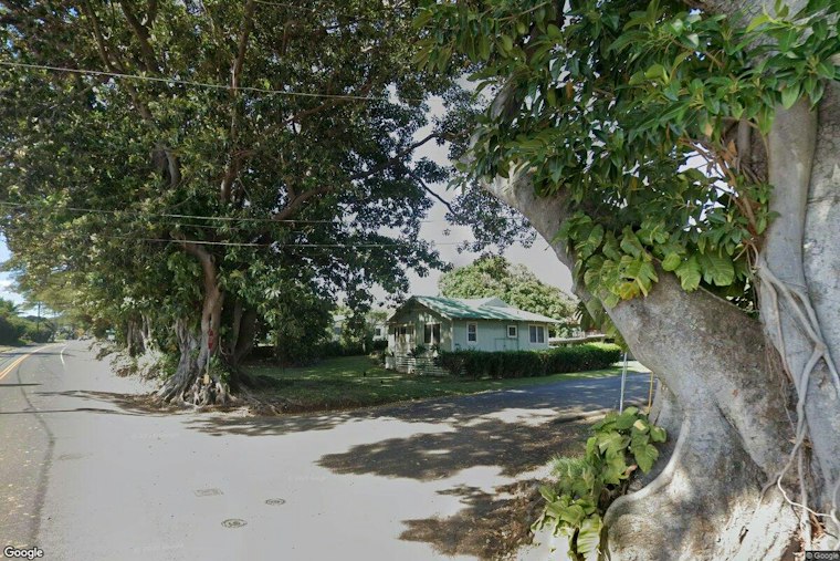 Las Vegas Woman Rushes Home as Kaʻū Coffee Farm Loses Hundreds of Trees