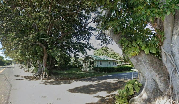Las Vegas Woman Rushes Home as Kaʻū Coffee Farm Loses Hundreds of Trees