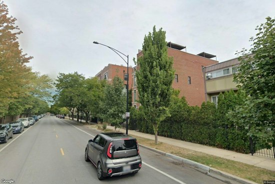Lincoln Park Homeowner Accused of Dumping Nuts, Triggering Rat Swarm
