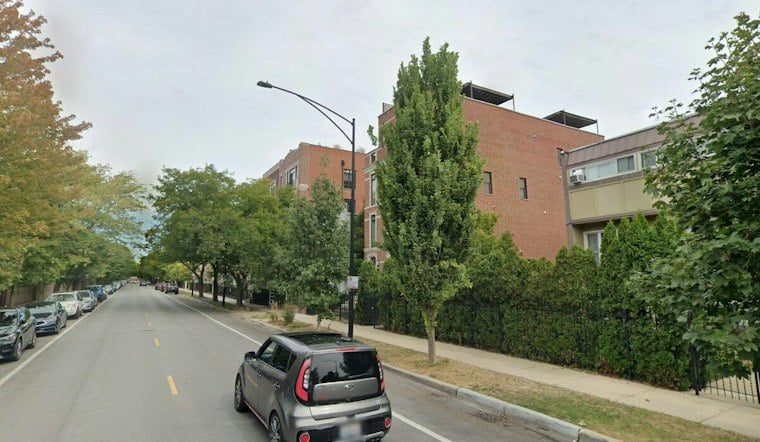 Lincoln Park Homeowner Accused of Dumping Nuts, Triggering Rat Swarm
