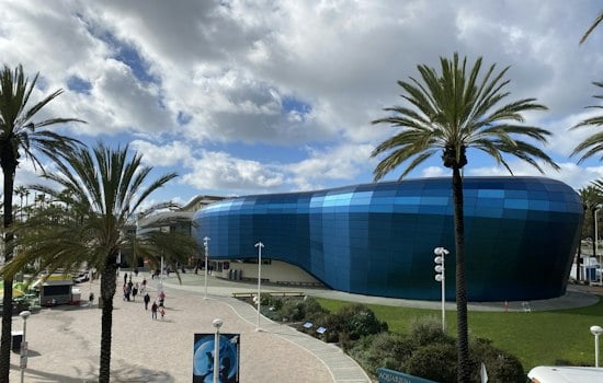 Long Beach Aquarium Nurses Nearly 500 Trafficked Fish Back From the Brink