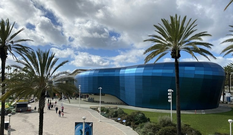 Long Beach Aquarium Nurses Nearly 500 Trafficked Fish Back From the Brink
