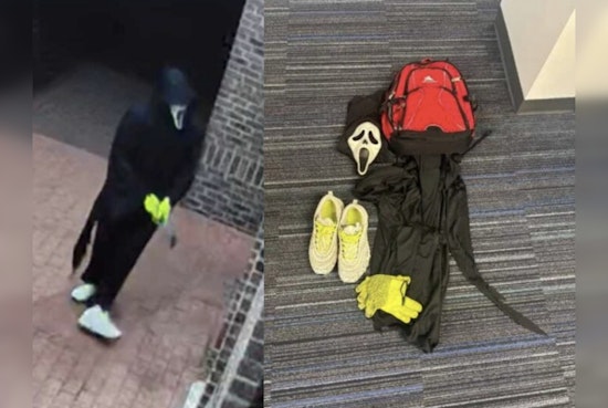 Lorton Man in Ghostface Mask Charged After $8,000 HOA Vandalism Spree